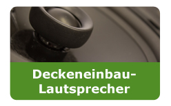 Deckeneinbau-Lautsprecher